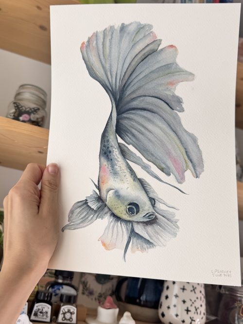 Betta Fish - Original - Watercolour A4