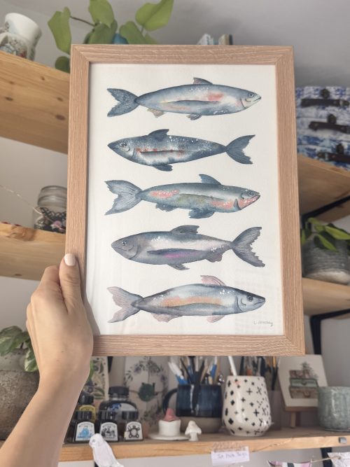 Five Sardines - Original - Watercolour
